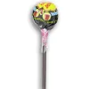 Chupa Chups Lollipop Tongue Painter Single