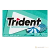 Trident Minty Sweet Twist 14 Sticks
