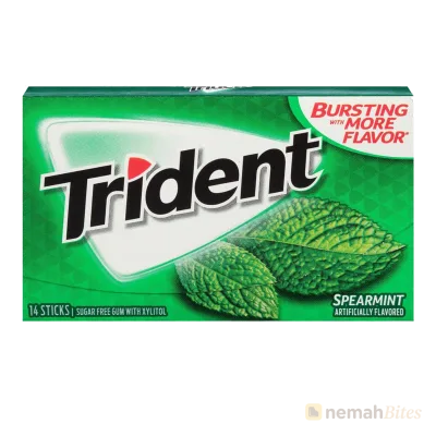 Trident Gum 14 Sticks Spearmint Artificial Flavor Trident Gum 14 Sticks Spearmint Artificial Flavor