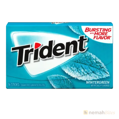 Trident Gum 14 Sticks Wintergreen Sugar Free