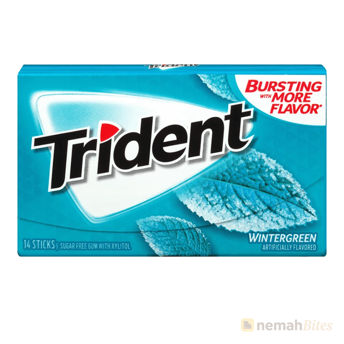 Trident Gum 14 Sticks Wintergreen Sugar Free